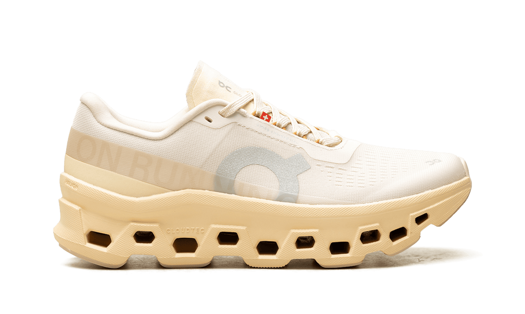 ON RUNNING WOMENS Cloudmonster 1 Womens "Goby Lily" 3WF30484910 3WF30484910 from Stadium Goods